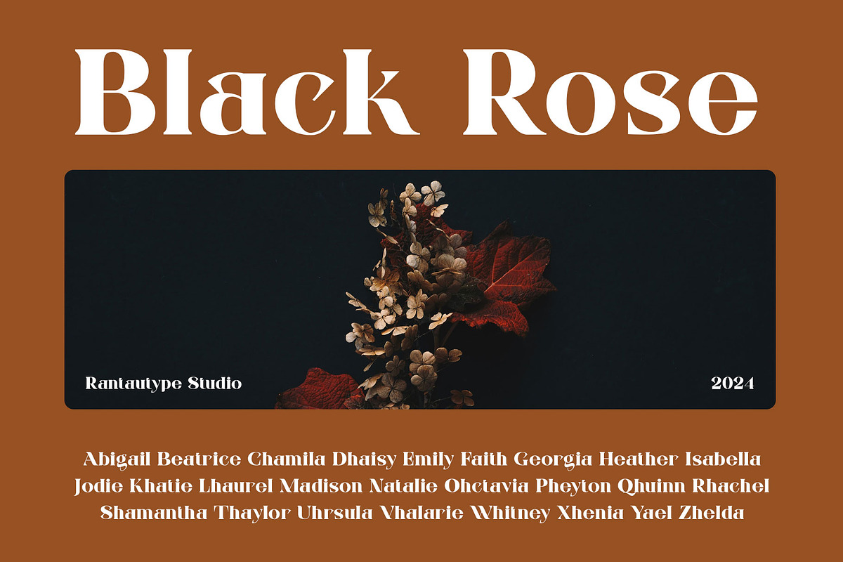 Frenia Modern Serif Typeface, a Serif Font by RantautypeStudio (Photo 11 of 15)