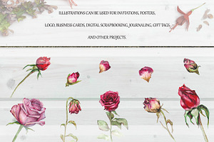 Vintage Watercolor Elements Set