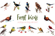 Watercolor forest birds, an Animal Illustration by ivanushka-art (Thumbnail 5 of 5)