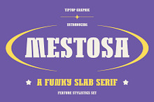 Mestosa - Funky Slab Serif