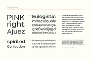 Internacional, a Sans Serif Font by Los Andes Type (Thumbnail 5 of 13)