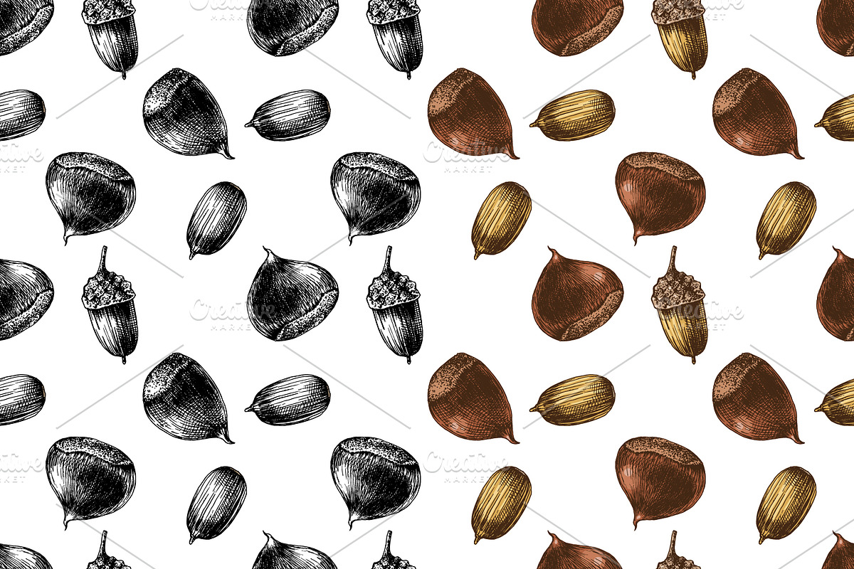 Hard nut graphic design set, a Food Illustration by handsketched (Photo 15 of 18)