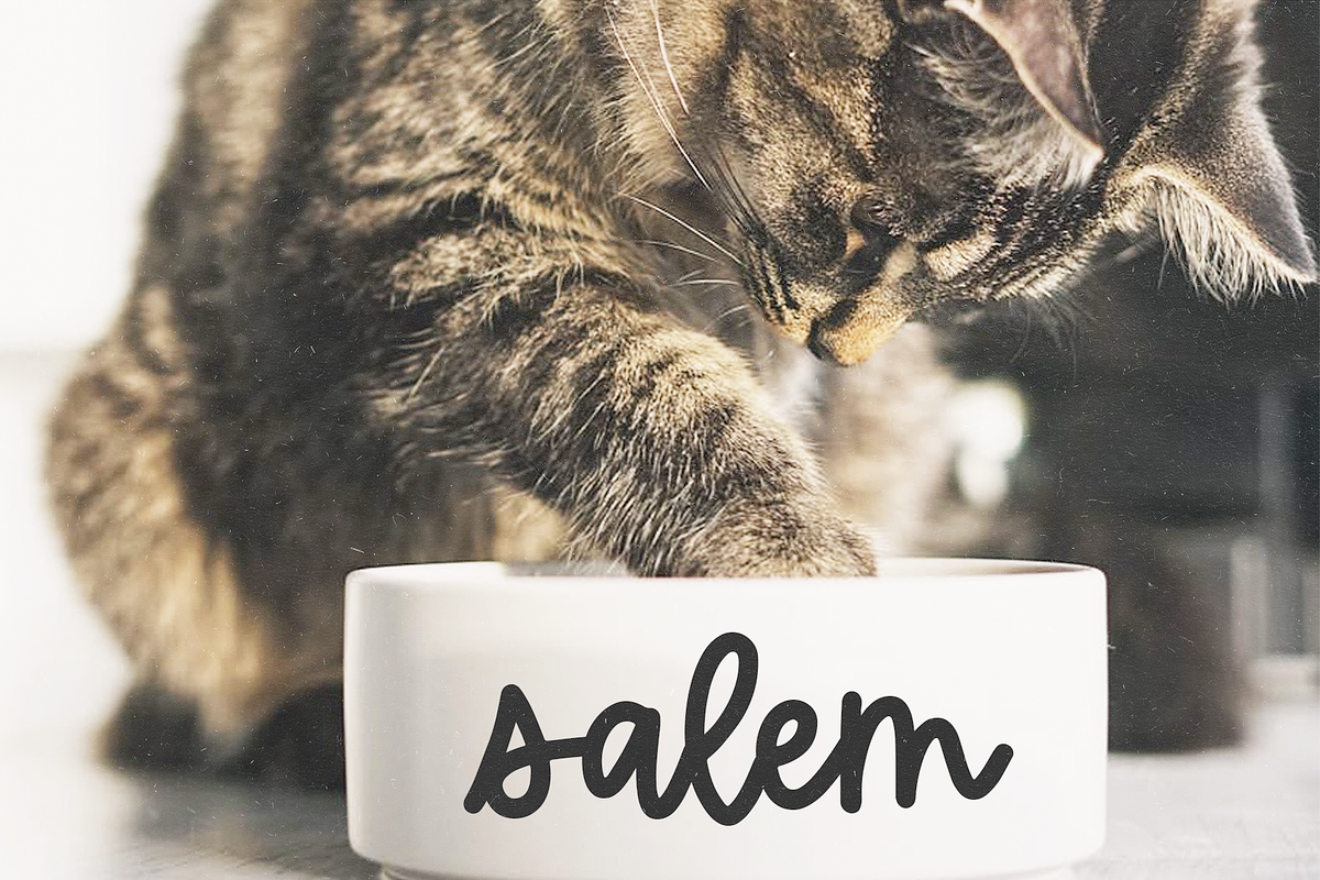 Brightland | Handwritten Script Font, a Script Font by KA Designs (Photo 7 of 9)