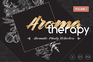 Aromatic plants sketch set Vol. 1