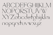 Cloudforest. Chic, modern serif font, a Serif Font by LostandFoundry (Thumbnail 5 of 5)