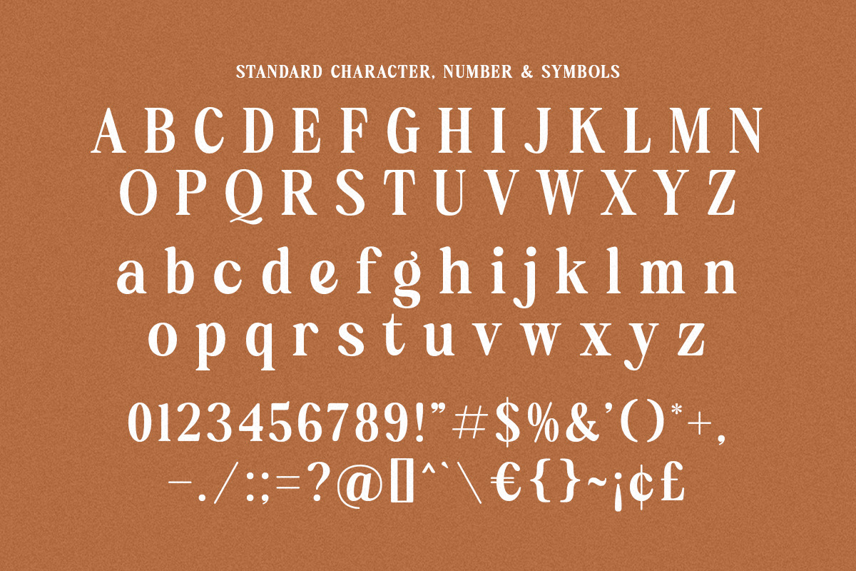Reach Delight - Modern Retro Serif, a Serif Font by Shakira Studio (Photo 2 of 10)
