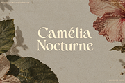 Noctelle Rouge - Display Serif Font, a Serif Font by Creacy Studio (Thumbnail 2 of 10)