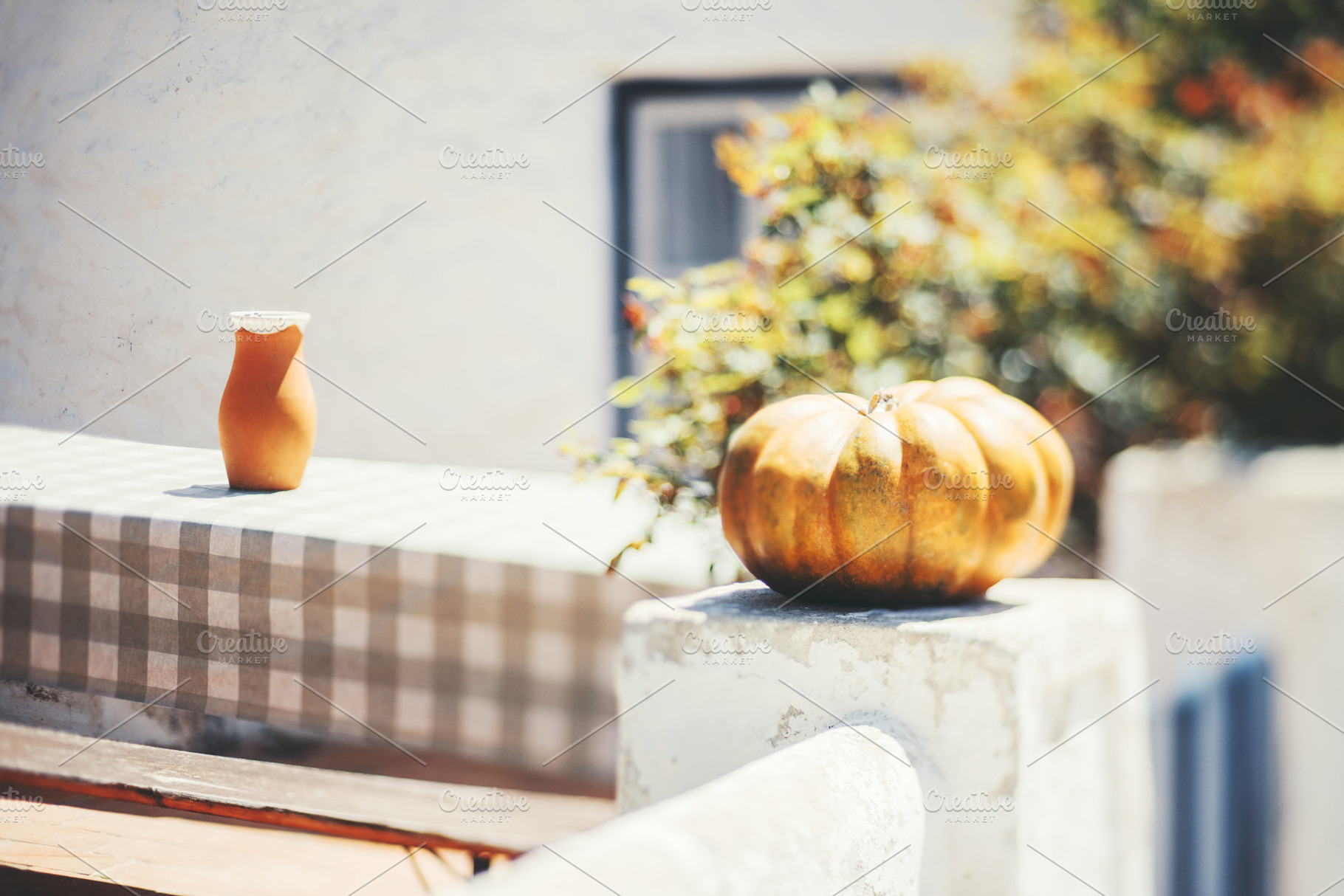 Pumpkin and jug in sunlit blur, a Holiday Photo by SkyNext