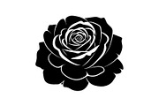 50 Black Rose Silhouette Vector Bund, an Illustration by Gaye Art (Thumbnail 36 of 51)
