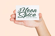 Radiate Yethina Modern Script Font, a Script Font by stylishtype.co (Thumbnail 10 of 20)