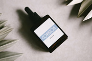 Phoenix Display Font, a Sans Serif Font by Webhance Studio (Thumbnail 11 of 12)