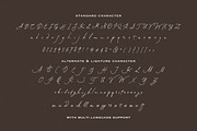 South Assign - Vintage Inspired Font, a Script Font by Sarid Ezra (Thumbnail 9 of 10)