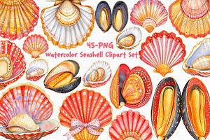 Watercolor Seashell Clipart Set, an Illustration by Libby Wishes