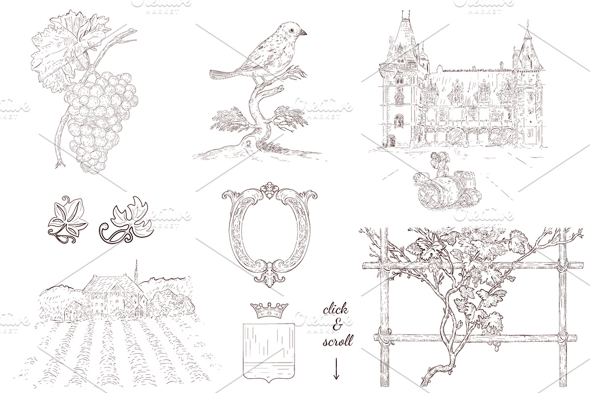 Wine inspired collection. Hand drawn, a Decorative Illustration by YvY (Photo 2 of 9)