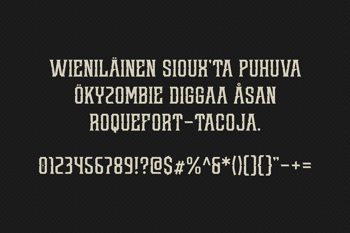 Redsniper Vintage Font, a Font by Locomotype (Photo 9 of 10)