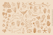 Sea Life Collection, an Animal Illustration by Nadezhda Mikhailova (Thumbnail 14 of 18)