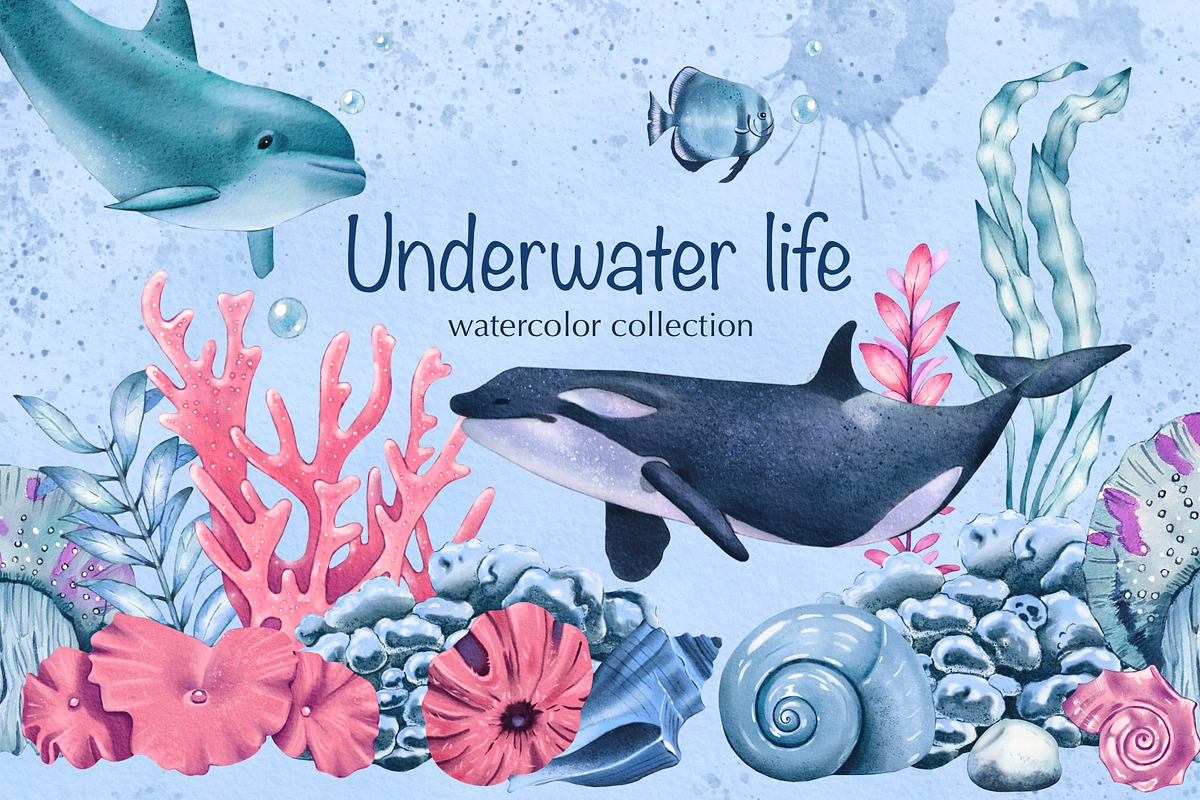 Watercolor Underwater Life Clipart, an Object Illustration by DiashaArt (Photo 1 of 9)