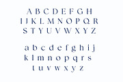 Myroniq | Modern Elegant Serif Typef, a Serif Font by Artdez (Thumbnail 4 of 5)