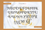 Angilena, a Serif Font by Mantype Studio (Thumbnail 12 of 14)