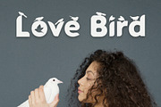 Black Bird - Cute Decorative Font, a Font by Artkenza (Thumbnail 5 of 5)