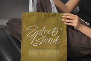 Chaydio Smith Bold Handwritten Font, a Script Font by stylishtype.co (Thumbnail 5 of 20)