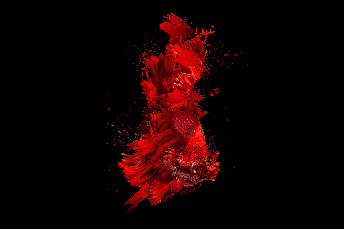 50 Brush Strokes & Splatters, a Brush Add-On by ORCA Creative Store (Photo 4 of 4)