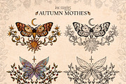 Autumn Moths & Dried Botanicals, an Animal Illustration by Ink Stories (Thumbnail 7 of 18)
