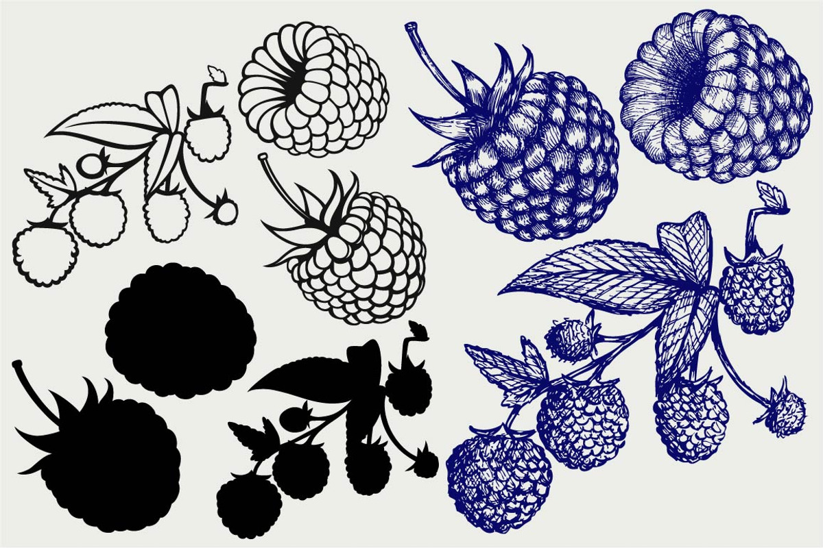 Ripe raspberry SVG, an Outline Icon by LineworkStock