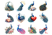 Valentine's Peacock Watercolor, an Illustration by Design Market (Thumbnail 3 of 3)