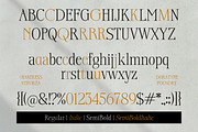 Chantress Vittorea, a Serif Font by Dora Typefoundry (Thumbnail 8 of 12)