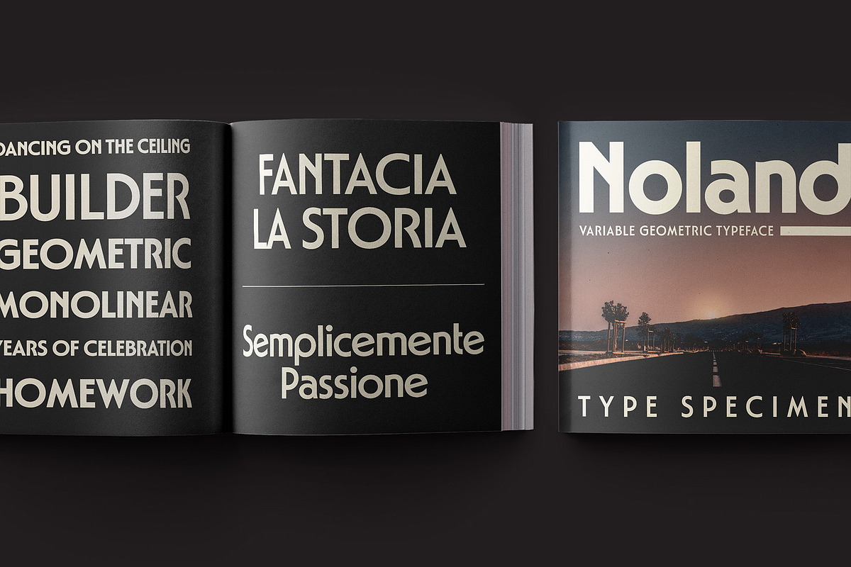 Noland, a Sans Serif Font by Flavortype (Photo 7 of 16)