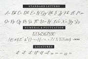 Hilland | A Signature Font, a Script Font by Beautypes (Thumbnail 11 of 13)