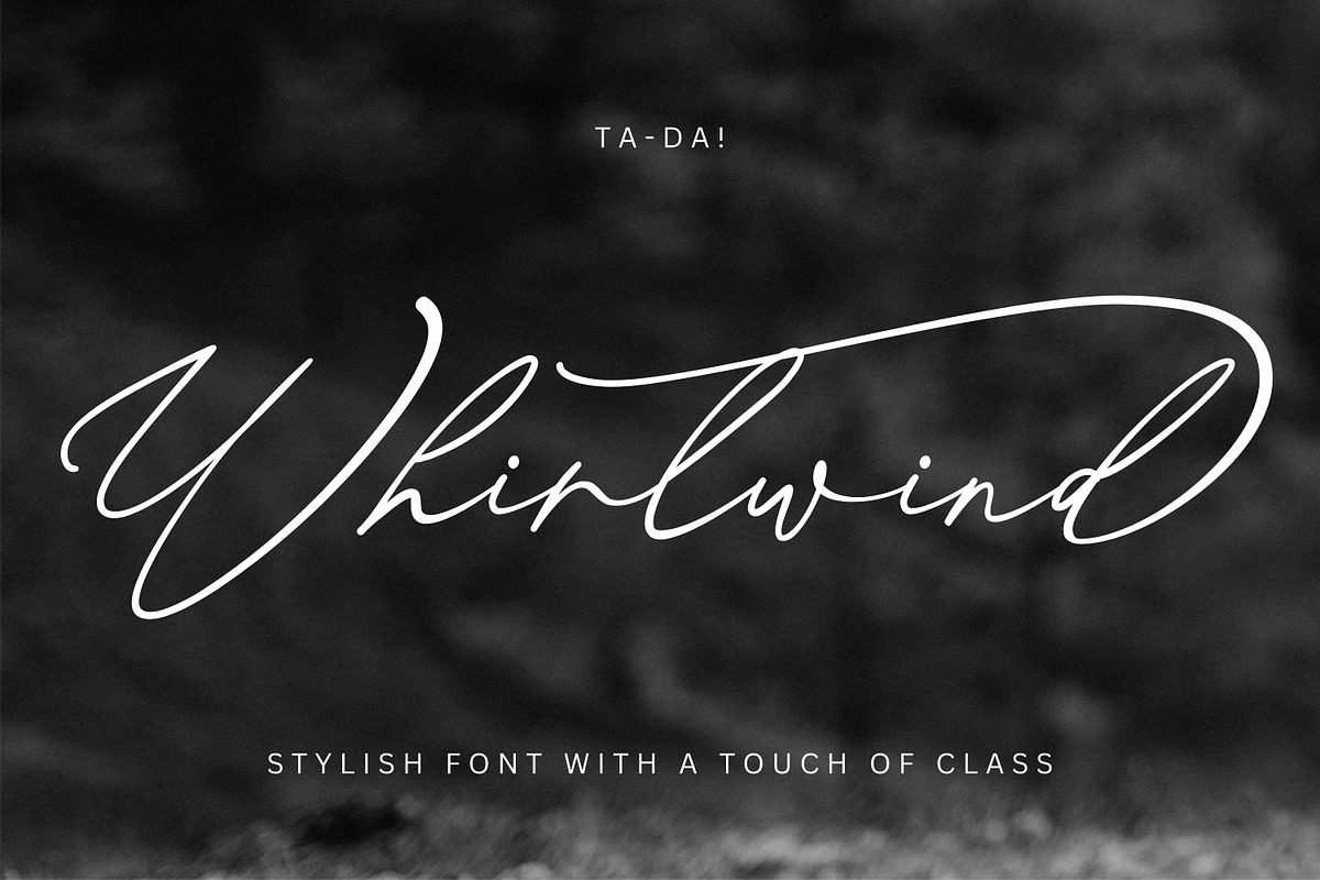 Whirlwind, a Script Font by Gatype (Photo 1 of 8)