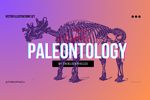 160 Paleontology Illustrations