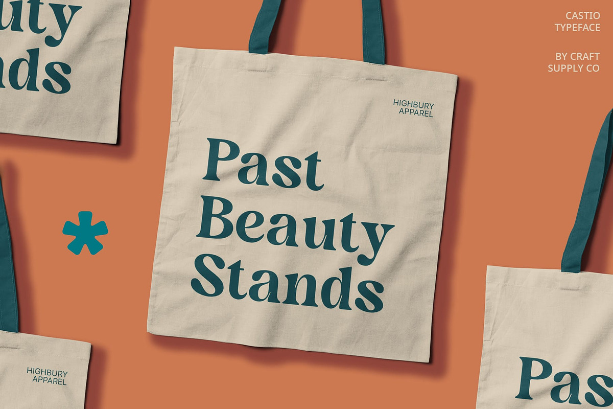 Castio – Bold Font, a Serif Font by Craft Supply Co. (Photo 3 of 8)