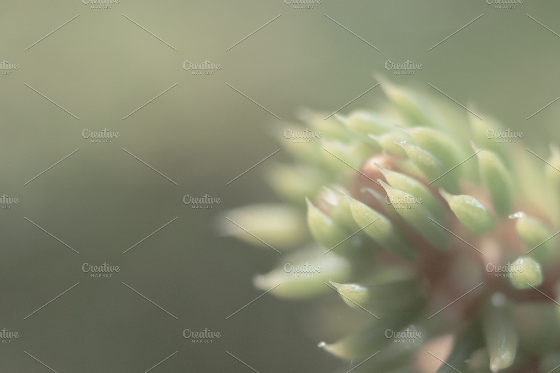 Calmness VI