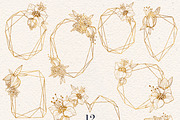 FINE LINE Floral Graphic Collection, a Decorative Illustration by Olga Begak Art & Design (Thumbnail 9 of 11)