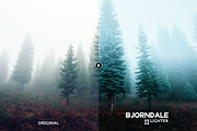 Bjorndale Presets - Desktop & Mobile, an Action Add-On by Presetrain Co. (Thumbnail 3 of 9)