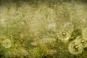 Romantic Texture