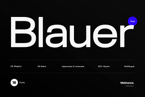 Blauer Nue - A Premium Sans-serif Fo