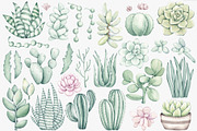 Watercolor ClipArt Green Plants, an Illustration by SirenaArt (Thumbnail 2 of 20)