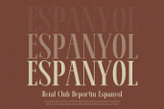 Mavero - Serif Font, a Serif Font by Alpaprana (Thumbnail 5 of 10)