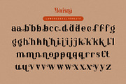 Borisna - Modern Display Serif Font, a Serif Font by Koplexs Studio (Thumbnail 17 of 18)
