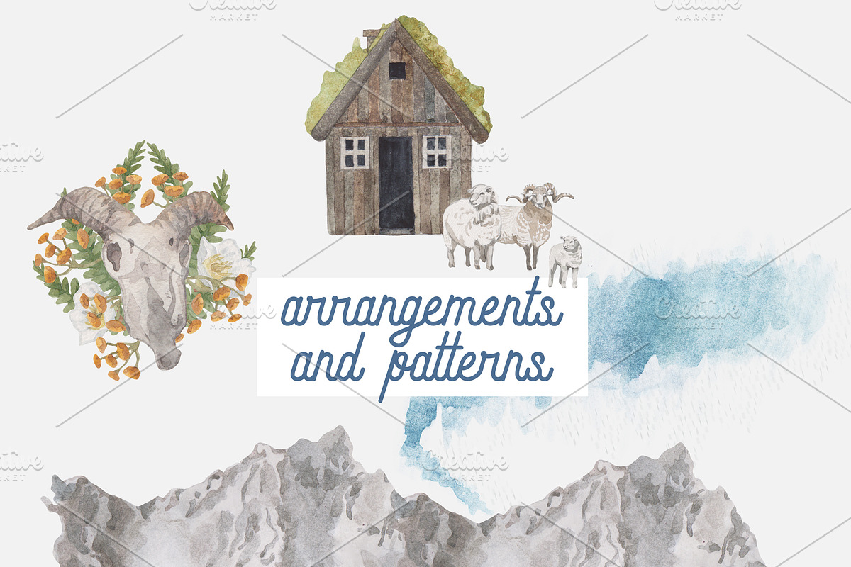 Icelandic Summer - 74 details, an Animal Illustration by Elisa Ursa (Photo 9 of 10)