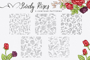 Birdy Roses Collection