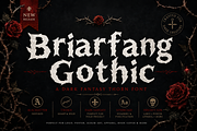 Briarfang Gothic Halloween Display, a Blackletter Font by AN Productions (Thumbnail 5 of 5)