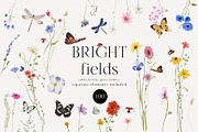 Watercolor Bright wildflowers set, a Decorative Illustration by Grace Noboa Illustrations (Thumbnail 7 of 11)