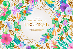 Tropical decorative clipart set
