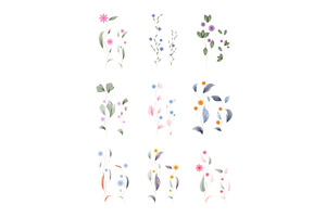 Collection of delicate watercolor, an Illustration by okskukuruza
