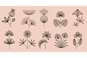 Linear boho flowers. Floral line art, an Object Illustration by winwin.art
